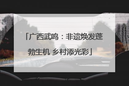 广西武鸣：非遗焕发蓬勃生机 乡村添光彩