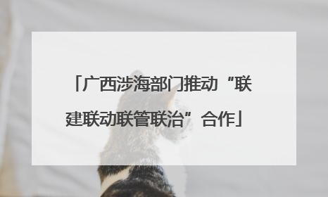 广西涉海部门推动“联建联动联管联治”合作
