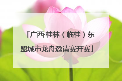 广西·桂林（临桂）东盟城市龙舟邀请赛开赛