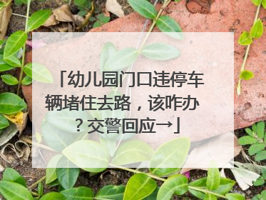 幼儿园门口违停车辆堵住去路，该咋办？交警回应→