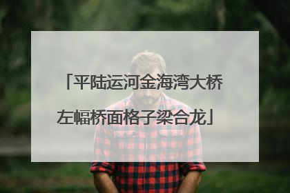 平陆运河金海湾大桥左幅桥面格子梁合龙