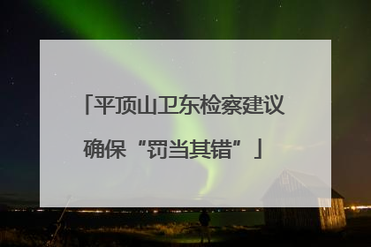 平顶山卫东检察建议确保“罚当其错”