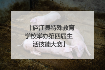 庐江县特殊教育学校举办第四届生活技能大赛