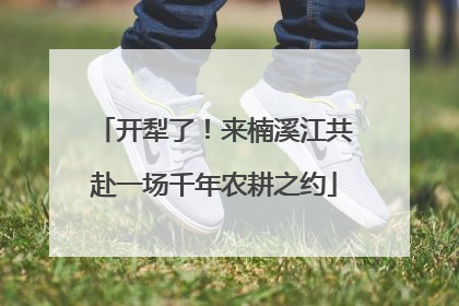 开犁了！来楠溪江共赴一场千年农耕之约