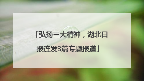 弘扬三大精神，湖北日报连发3篇专题报道