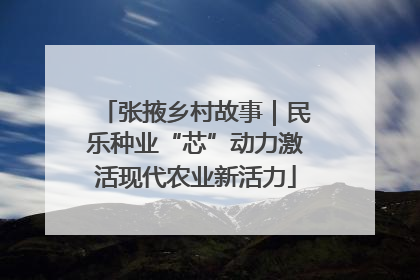 张掖乡村故事｜民乐种业“芯”动力激活现代农业新活力