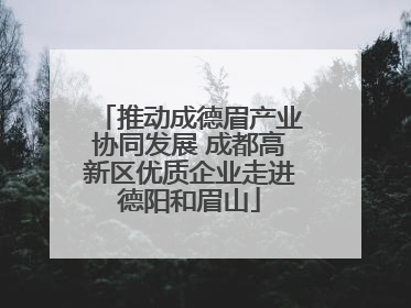 推动成德眉产业协同发展 成都高新区优质企业走进德阳和眉山