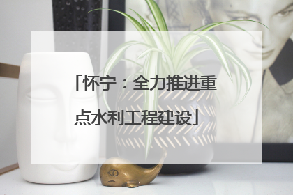 怀宁：全力推进重点水利工程建设