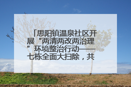 思阳镇温泉社区开展“两清两改两治理”环境整治行动——七栋全面大扫除，共建洁净家园