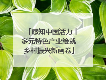 感知中国活力丨多元特色产业绘就乡村振兴新画卷