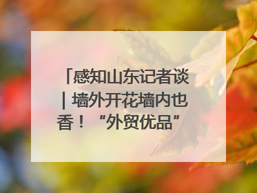感知山东记者谈｜墙外开花墙内也香！“外贸优品”打通国内国际市场“旋转门”