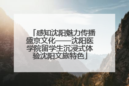 感知沈阳魅力传播盛京文化——沈阳医学院留学生沉浸式体验沈阳文旅特色