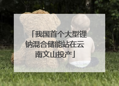 我国首个大型锂钠混合储能站在云南文山投产