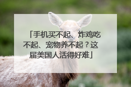 手机买不起、炸鸡吃不起、宠物养不起？这届美国人活得好难