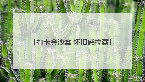打卡金沙窝 怀旧感拉满