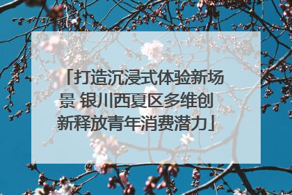 打造沉浸式体验新场景 银川西夏区多维创新释放青年消费潜力