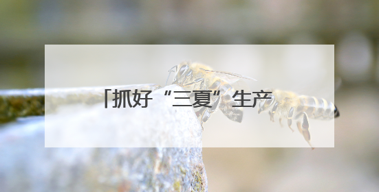 抓好“三夏”生产 保障粮食安全！平顶山市麦收基本完成