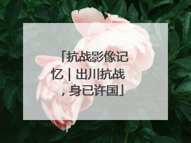 抗战影像记忆｜出川抗战，身已许国