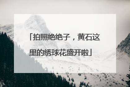 拍照绝绝子，黄石这里的绣球花盛开啦