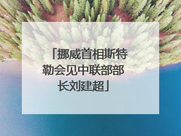 挪威首相斯特勒会见中联部部长刘建超