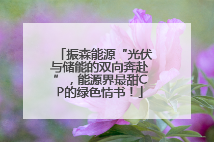振森能源“光伏与储能的双向奔赴”，能源界最甜CP的绿色情书！