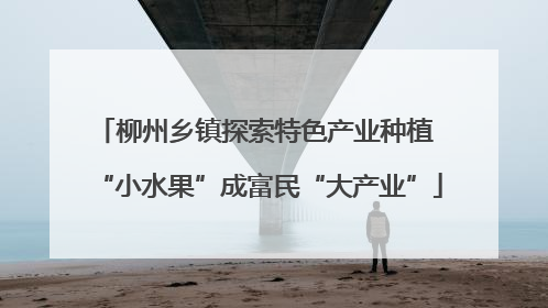 柳州乡镇探索特色产业种植 “小水果”成富民“大产业”