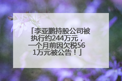 李亚鹏持股公司被执行约244万元，一个月前因欠税561万元被公告！