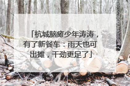 杭城脑瘫少年涛涛，有了新餐车：雨天也可出摊，干劲更足了