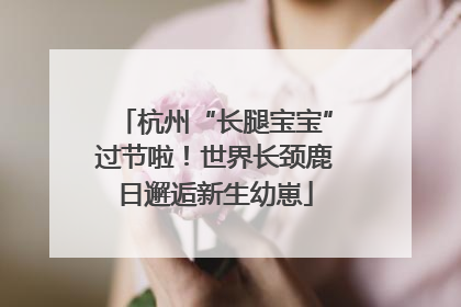 杭州“长腿宝宝”过节啦！世界长颈鹿日邂逅新生幼崽