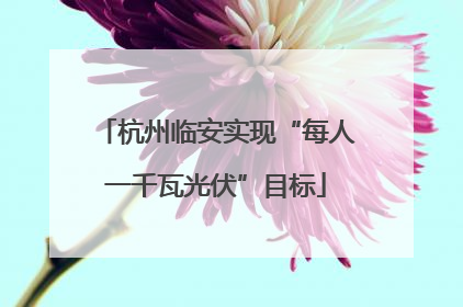 杭州临安实现“每人一千瓦光伏”目标