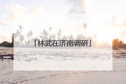林武在济南调研