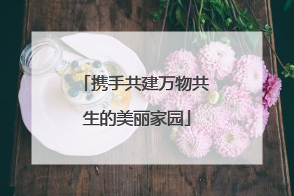 携手共建万物共生的美丽家园