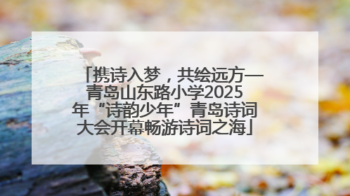 携诗入梦，共绘远方—青岛山东路小学2025年“诗韵少年”青岛诗词大会开幕畅游诗词之海