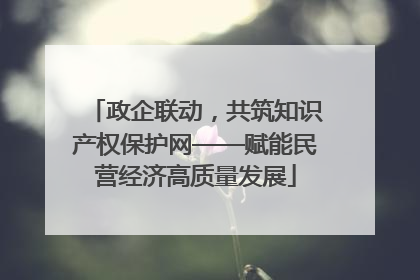政企联动，共筑知识产权保护网——赋能民营经济高质量发展