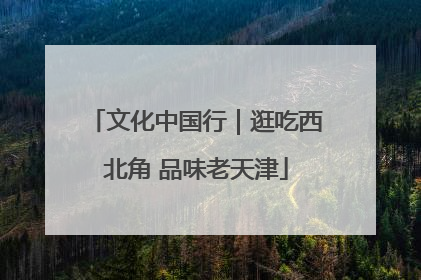文化中国行｜逛吃西北角 品味老天津