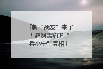 新“战友”来了！超飒雪豹IP“兵小宁”亮相