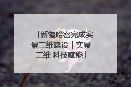 新疆哈密完成实景三维建设｜实景三维 科技赋能