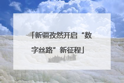 新疆孜然开启“数字丝路”新征程