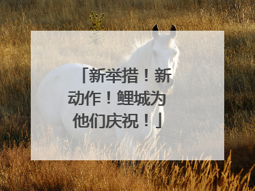 新举措！新动作！鲤城为他们庆祝！