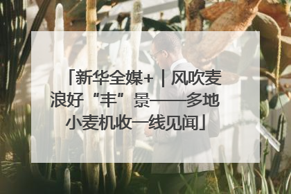 新华全媒+｜风吹麦浪好“丰”景——多地小麦机收一线见闻