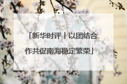 新华时评丨以团结合作共促南海稳定繁荣