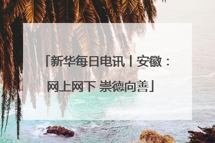 新华每日电讯丨安徽：网上网下 崇德向善