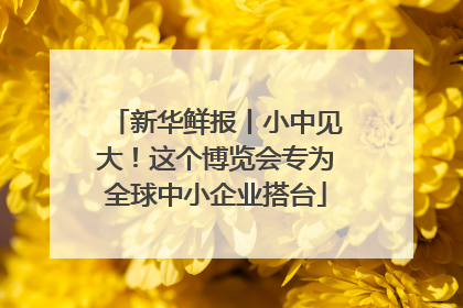 新华鲜报丨小中见大！这个博览会专为全球中小企业搭台