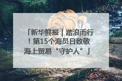 新华鲜报｜踏浪而行！第15个海员日致敬海上贸易“守护人”