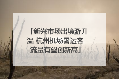 新兴市场出境游升温 杭州机场暑运客流量有望创新高