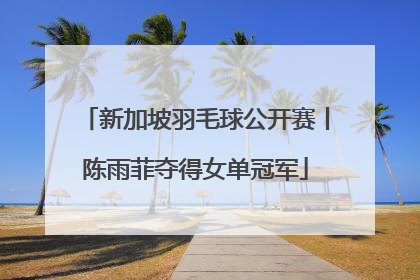 新加坡羽毛球公开赛丨陈雨菲夺得女单冠军