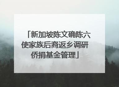 新加坡陈文确陈六使家族后裔返乡调研侨捐基金管理