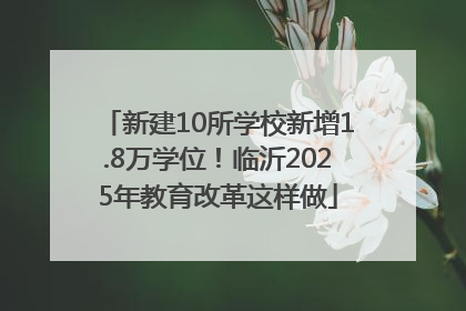 新建10所学校新增1.8万学位！临沂2025年教育改革这样做