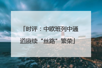 时评：中欧班列中通道赓续“丝路”繁荣