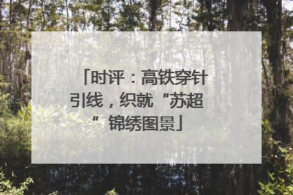 时评：高铁穿针引线，织就“苏超”锦绣图景